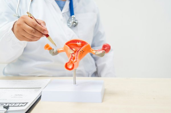 Traitement endométriose par imagerie interventionnelle: une révolution